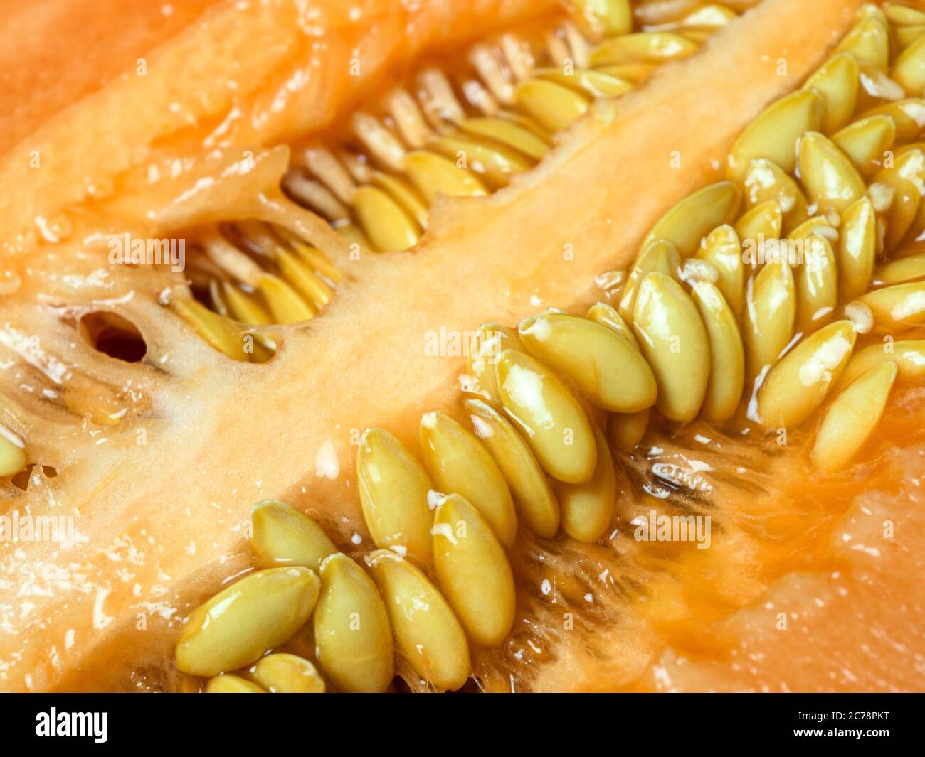 Nahaufnahme der Melonen-Melone in einer halbierten Melone Stockfoto