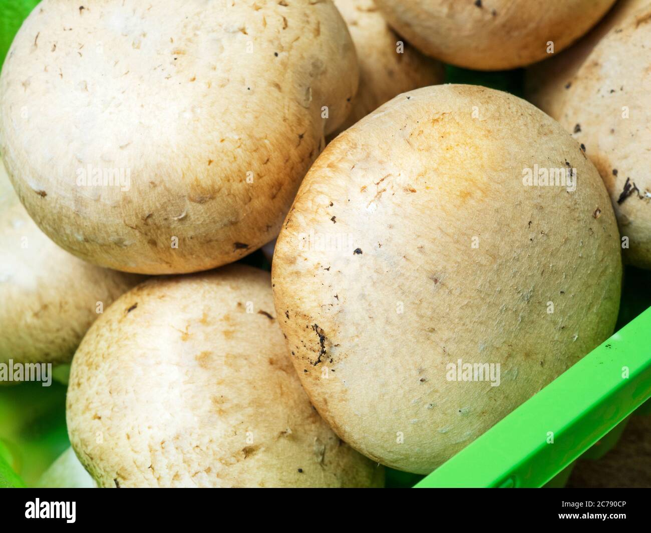 Punnet von Kastanienpilzen aus einem Supermarkt Stockfoto