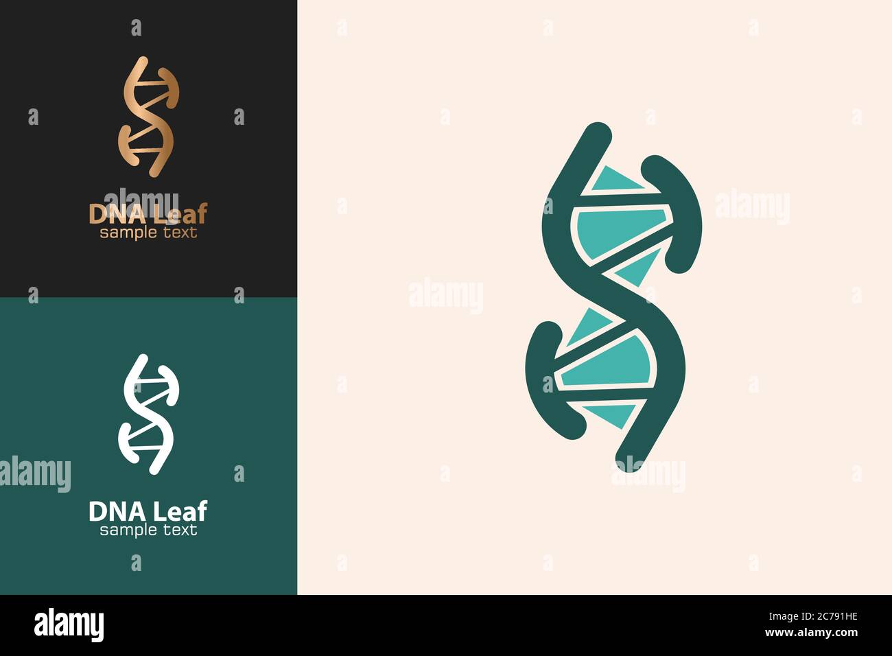 DNA Leaf Logo Design Concept Template. Stock Vektor