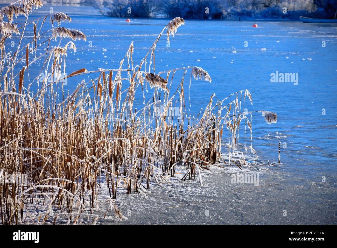 Llangorse Lake Brecon Beacons Powys Wales im winter Stockfoto