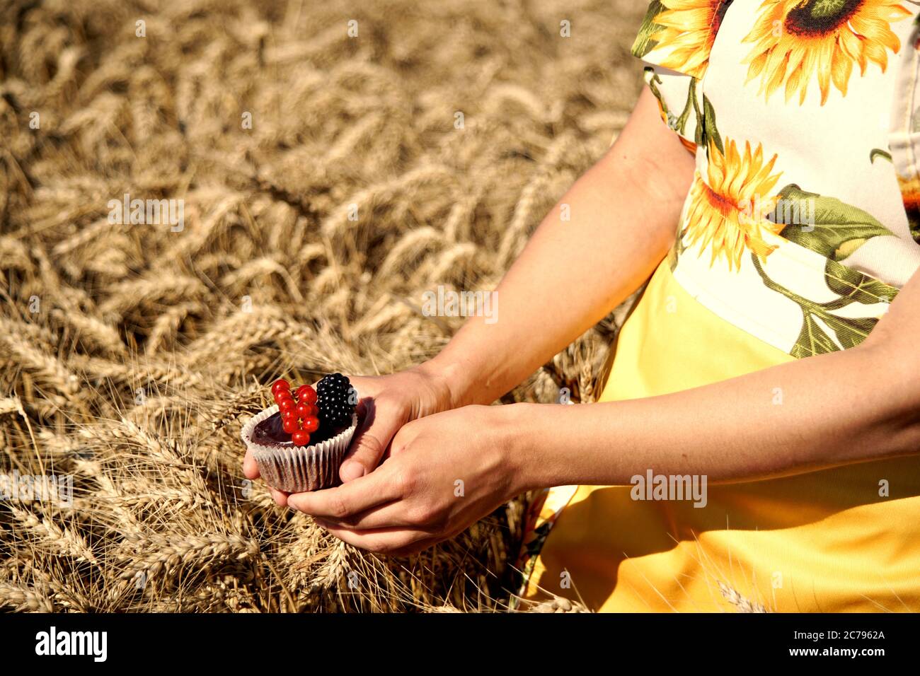 Mädchen hält einen Schokoladenmuffin mit Früchten verziert. Food-Fotografie. Stockfoto