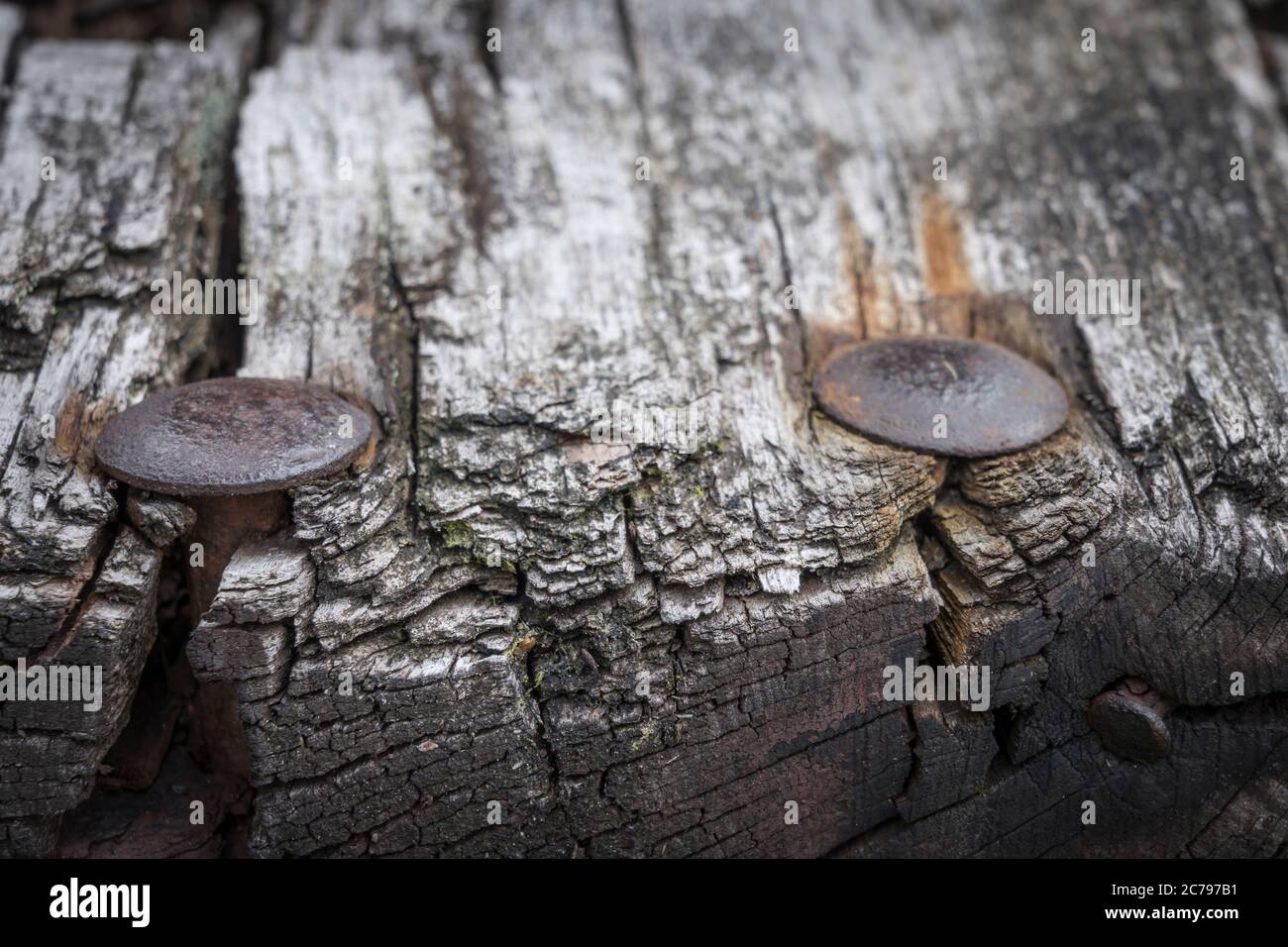Altes verwittertes Holz auf einer ländlichen Scheune Stockfoto