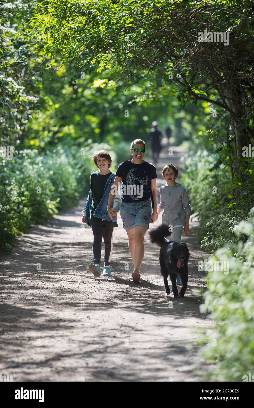 Mutter und Söhne mit Hund auf sonnigem Parkweg Stockfoto