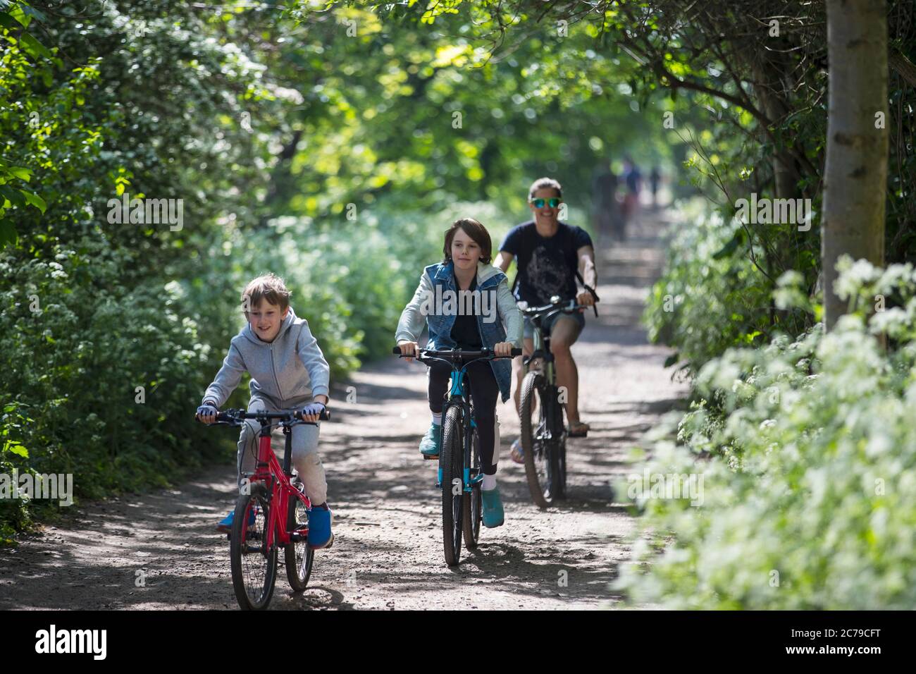 Mutter und Söhne fahren auf sonnigem Parkweg Stockfoto