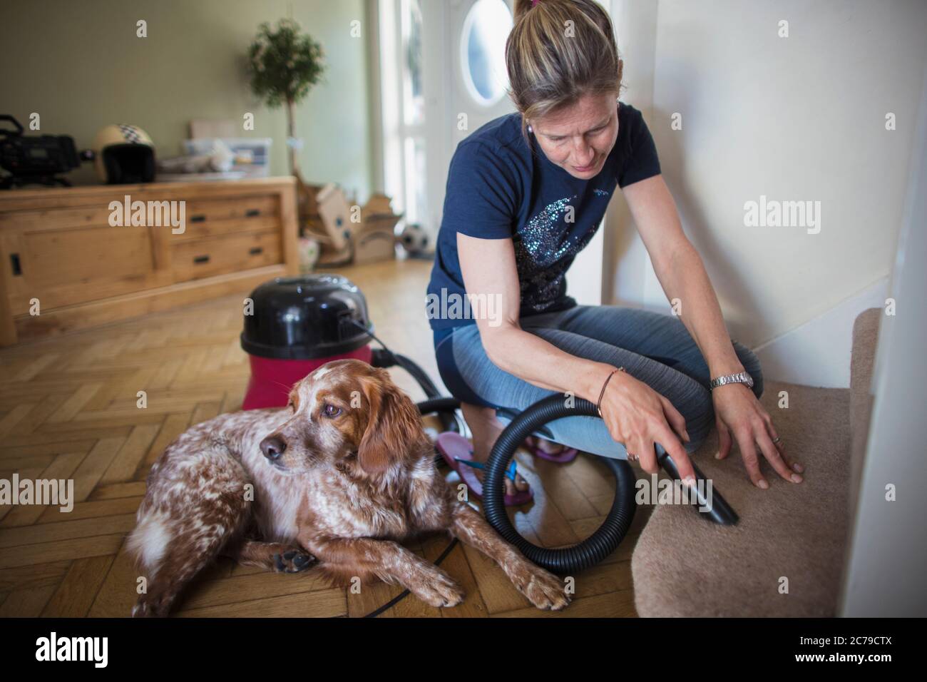Frau mit Hund, der Teppich auf der Treppe saugt Stockfoto