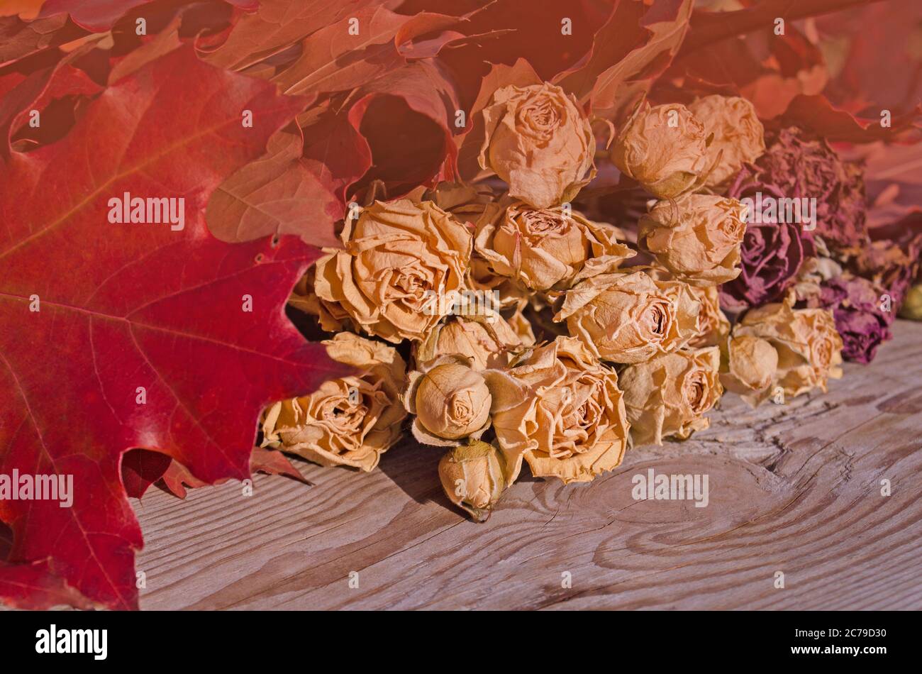 Bouquet von getrockneten Rosen. Trockene Rosenblüte auf einem Holztisch. Stockfoto