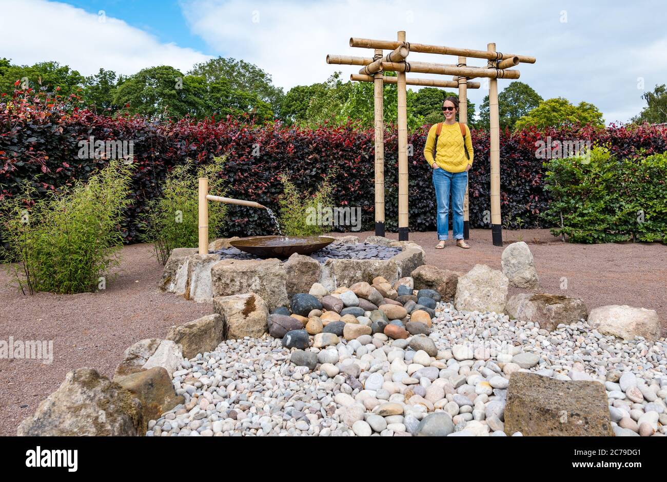 Haddington, East Lothian, Schottland, Großbritannien, 15.. Juli 2020. Amisfield Walled Garden wird wiedereröffnet: Der Garten aus dem 18.. Jahrhundert ist einer der größten in Schottland. Es ist jetzt 3 Tage die Woche mit einem Online-Buchungssystem geöffnet, nachdem die Sperrbeschränkungen während der Covid-19-Pandemie gelockert wurden. Kate genießt den neuen sensorischen Klanggarten mit einem Steingarten und einem Brunnen, der von einer Buchenhecke umgeben ist, in der Sommersonne Stockfoto