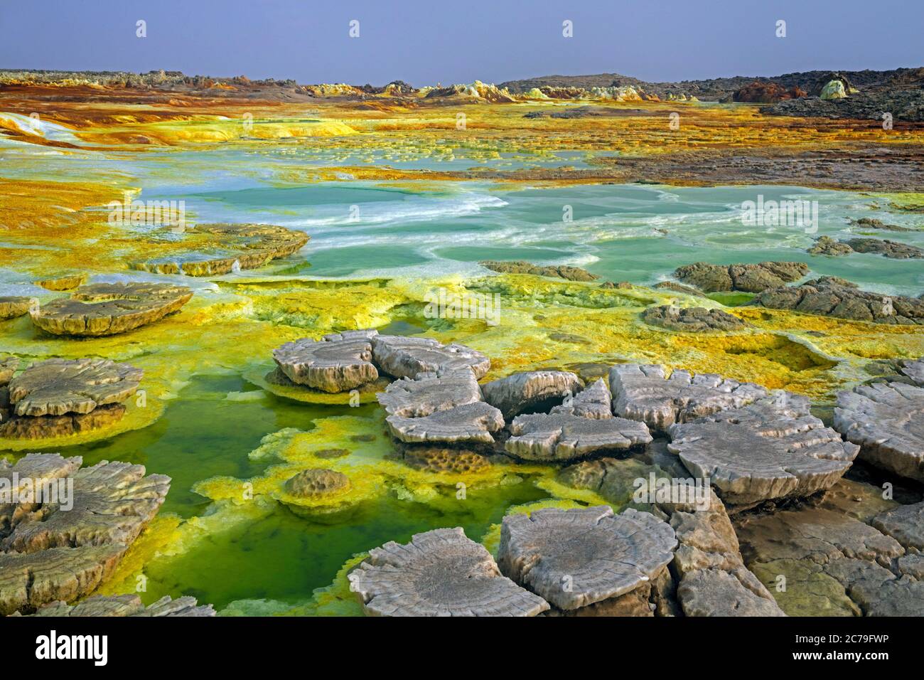 Dallol Schwefelquellen / heiße Quellen in der Danakil Depression Entladung Sole und saure Flüssigkeit in grünen Säure Teiche, Afar Region, Äthiopien, Afrika Stockfoto