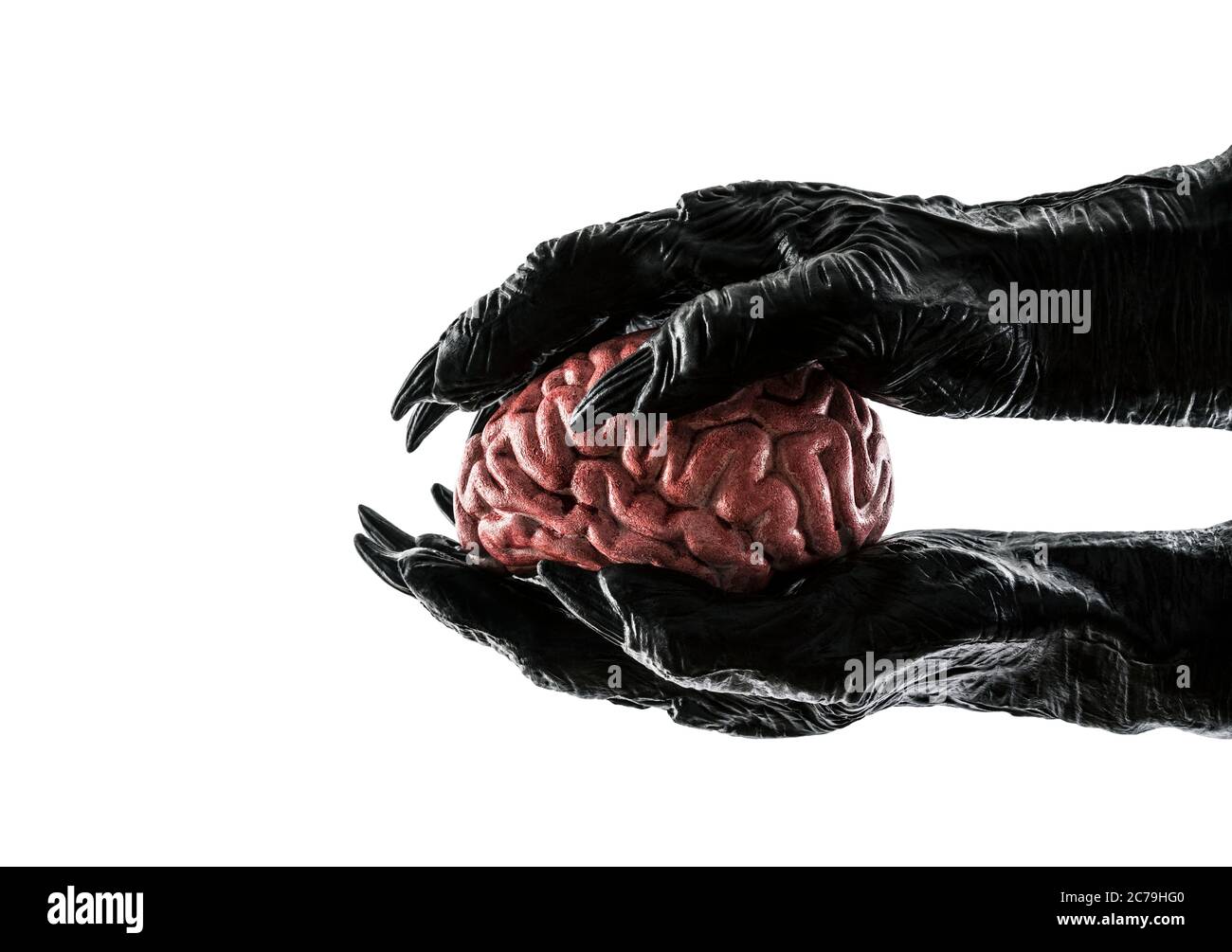 Menschliches Gehirn in Monsterhand isoliert auf weißem Hintergrund mit Clipping Pfad. Befreien Sie Ihr Gedankenkonzept Stockfoto