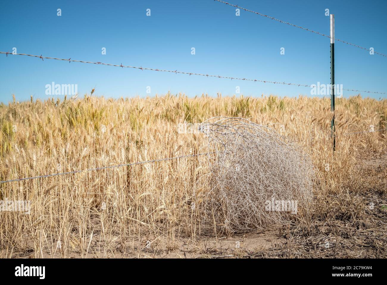 Landschaften des Staates Idaho, USA Stockfoto