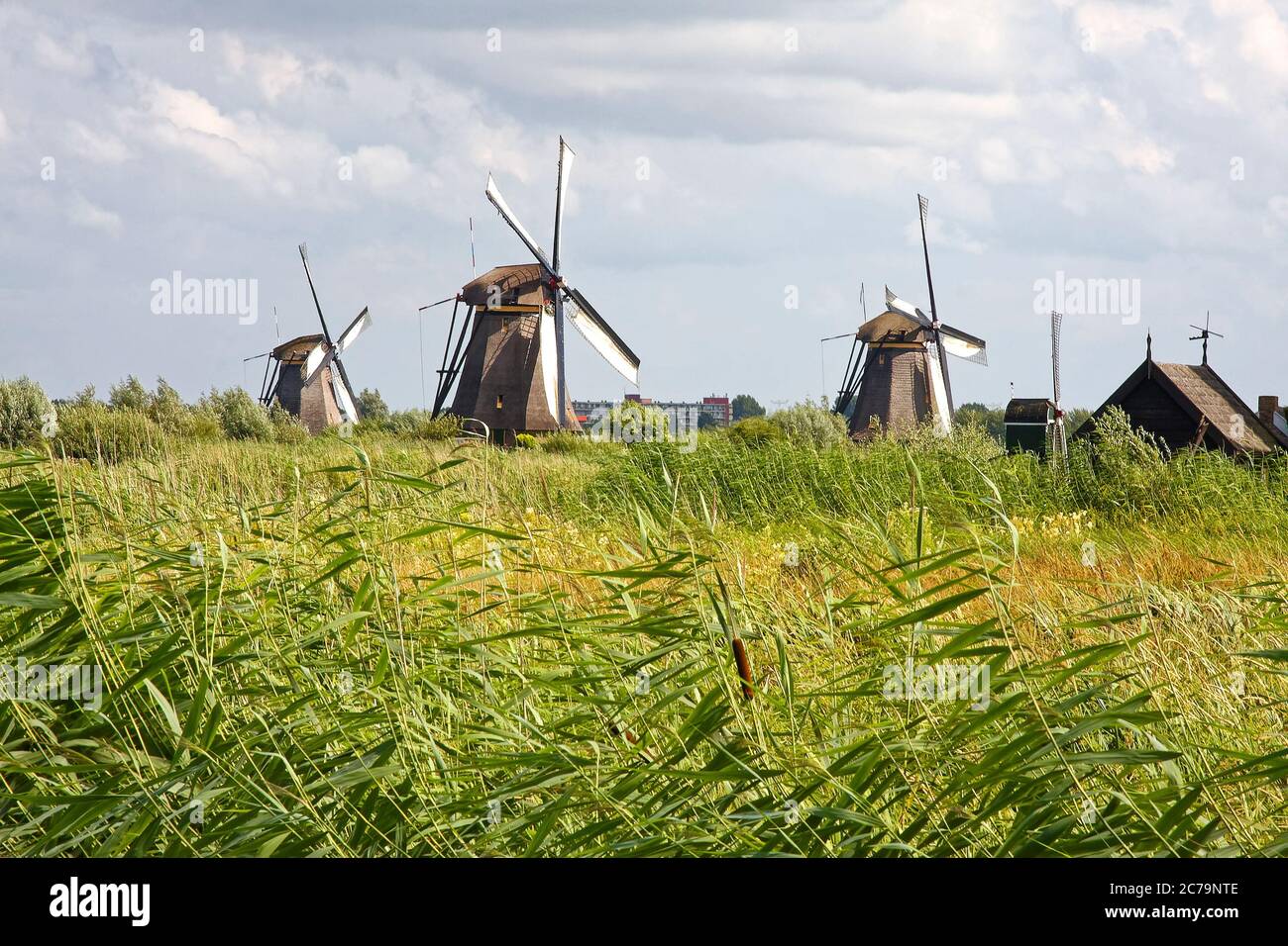 4 Windmühlen, um 1740, UNESCO-Weltkulturerbe, historisch, alt, reetgedeckte, Overwaard Mühle, hohes Gras, modernes Gebäude jenseits, Europa, Holl Stockfoto