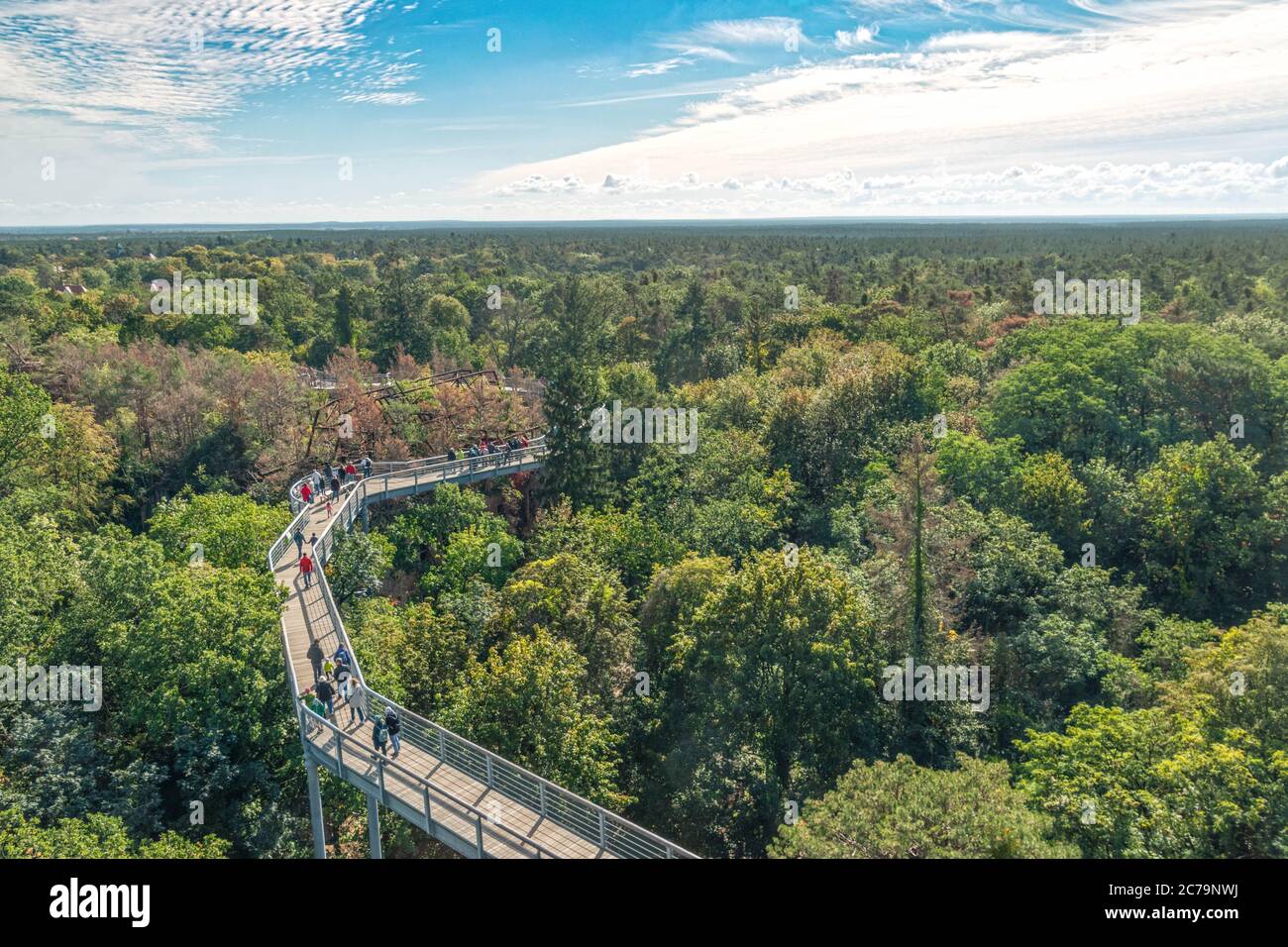 Baldachin Spaziergang Beelitz im Herbst Stockfoto
