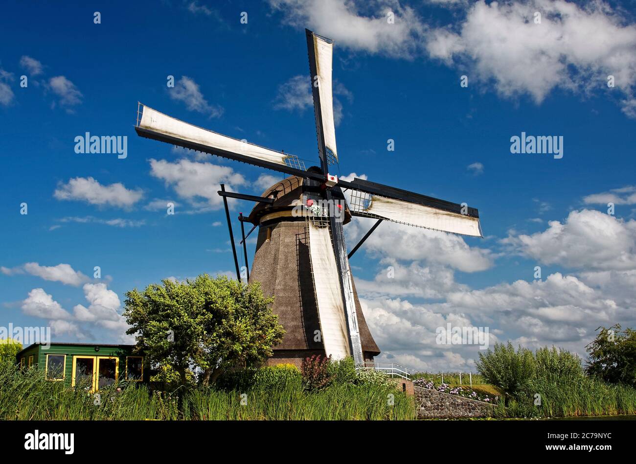 Windmühle, um 1740, weiße Segel, Sträucher, alt, Overwaard Mühle, mit Stroh bedeckt, Windkraft; Land trocken halten; hohes Gras; Wasser, Nahaufnahme, Holland, EU Stockfoto