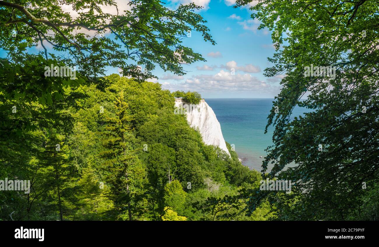 Kreidefelsen bei Sassnitz, Insel Rügen Stockfoto