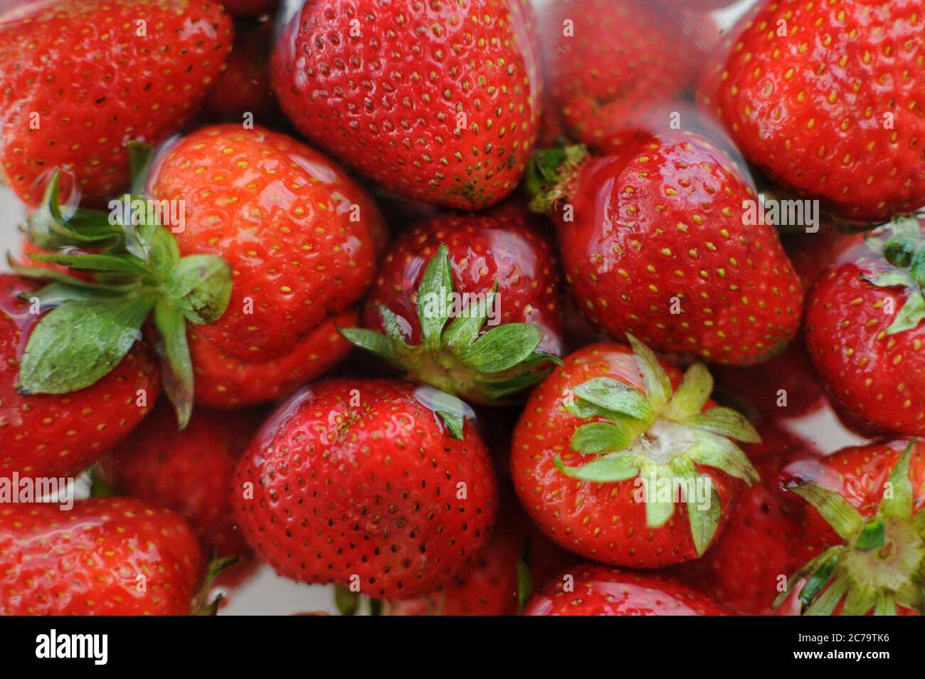 Nahaufnahme Hintergrund der Heimat Erdbeere in Schüssel mit Wasser. Vitamine für den Sommer. Stockfoto