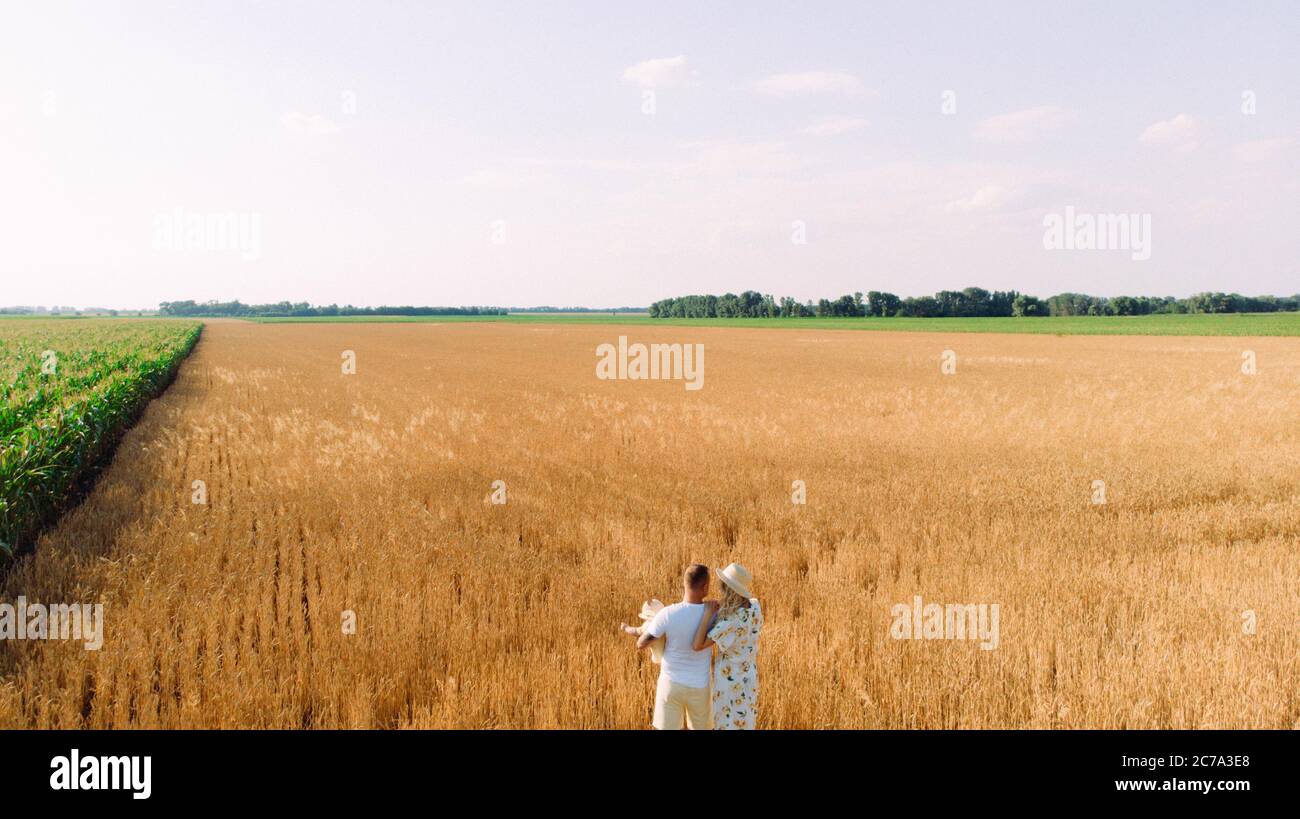 Glückliche junge Familie geht in gelben Weizenfeld in der Nähe von Mais mit Baby. Stockfoto