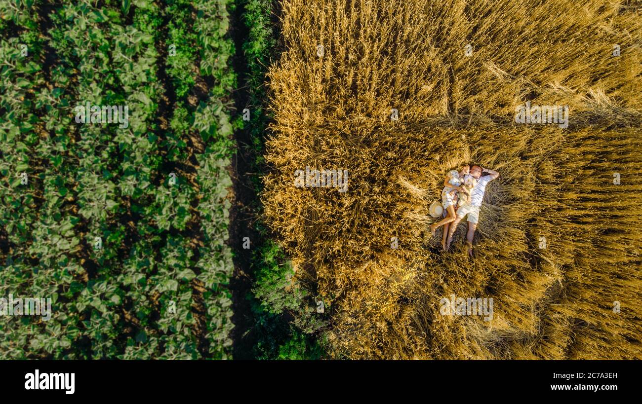 Blick von Drohne zu glücklicher junger Familie liegen und ruhen in gelben Weizenfeld in der Nähe von Sonnenblumen mit Baby. Stockfoto