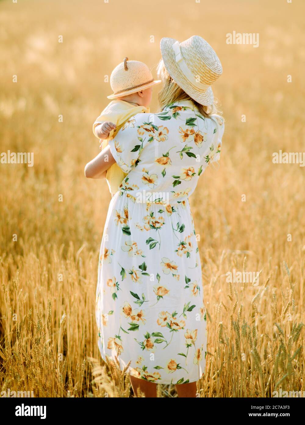 Glückliche junge Mutter geht mit ihrem Baby zwischen gelbem Weizenfeld. Stockfoto
