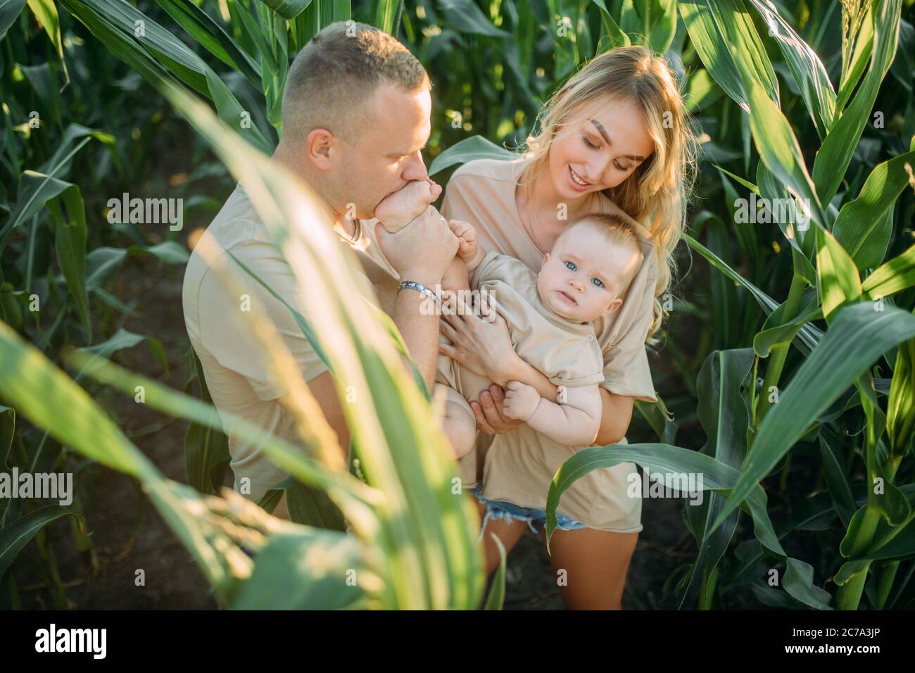 Glückliche junge Eltern haben Spaß und spielen mit ihrem Baby im Maisfeld. Stockfoto
