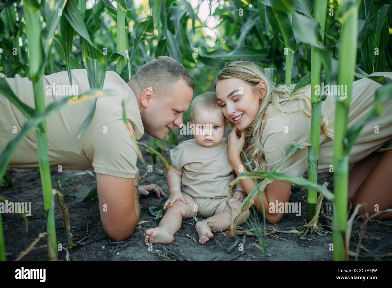 Glückliche junge Eltern haben Spaß und spielen mit ihrem Baby im Maisfeld. Stockfoto