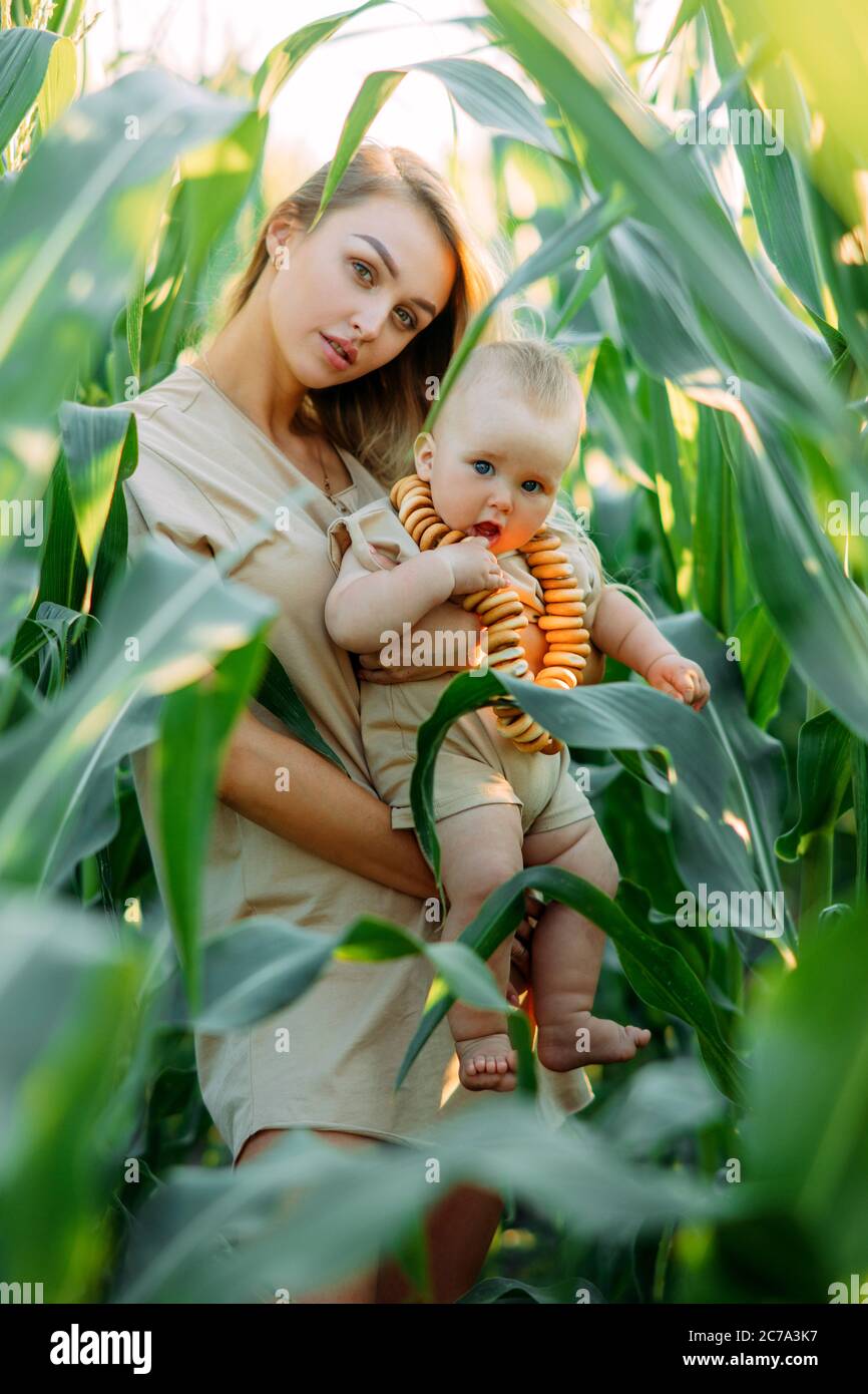 Glückliche junge Mutter geht mit ihrem Baby zwischen grünen Maisfeld. Stockfoto