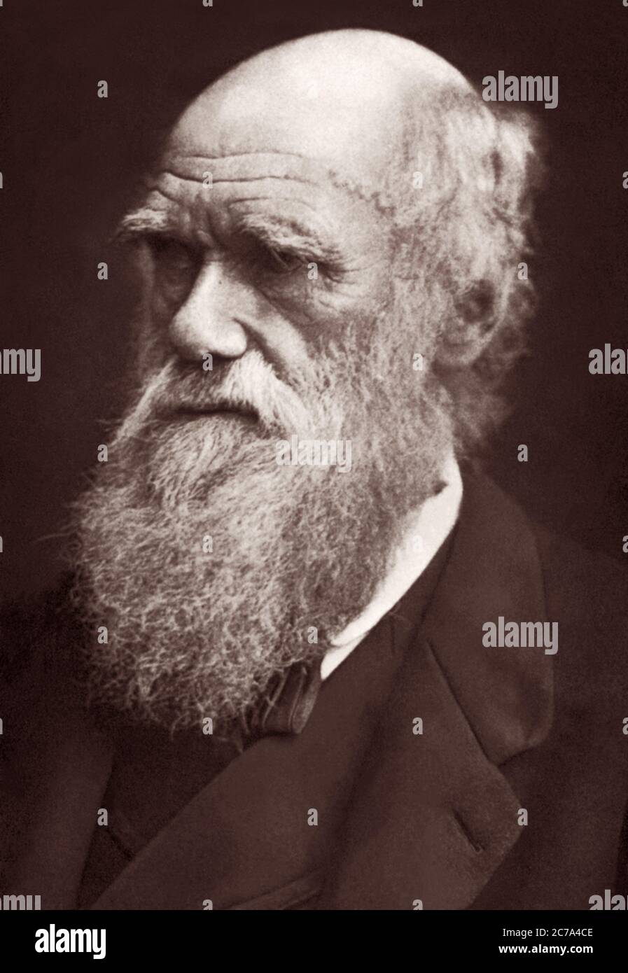 Charles Robert Darwin (1809-1882), Evolutionist und Autor von On the Origin of Species, in einem Porträt von Lock und Whitfield aus dem Jahr 1877. Stockfoto