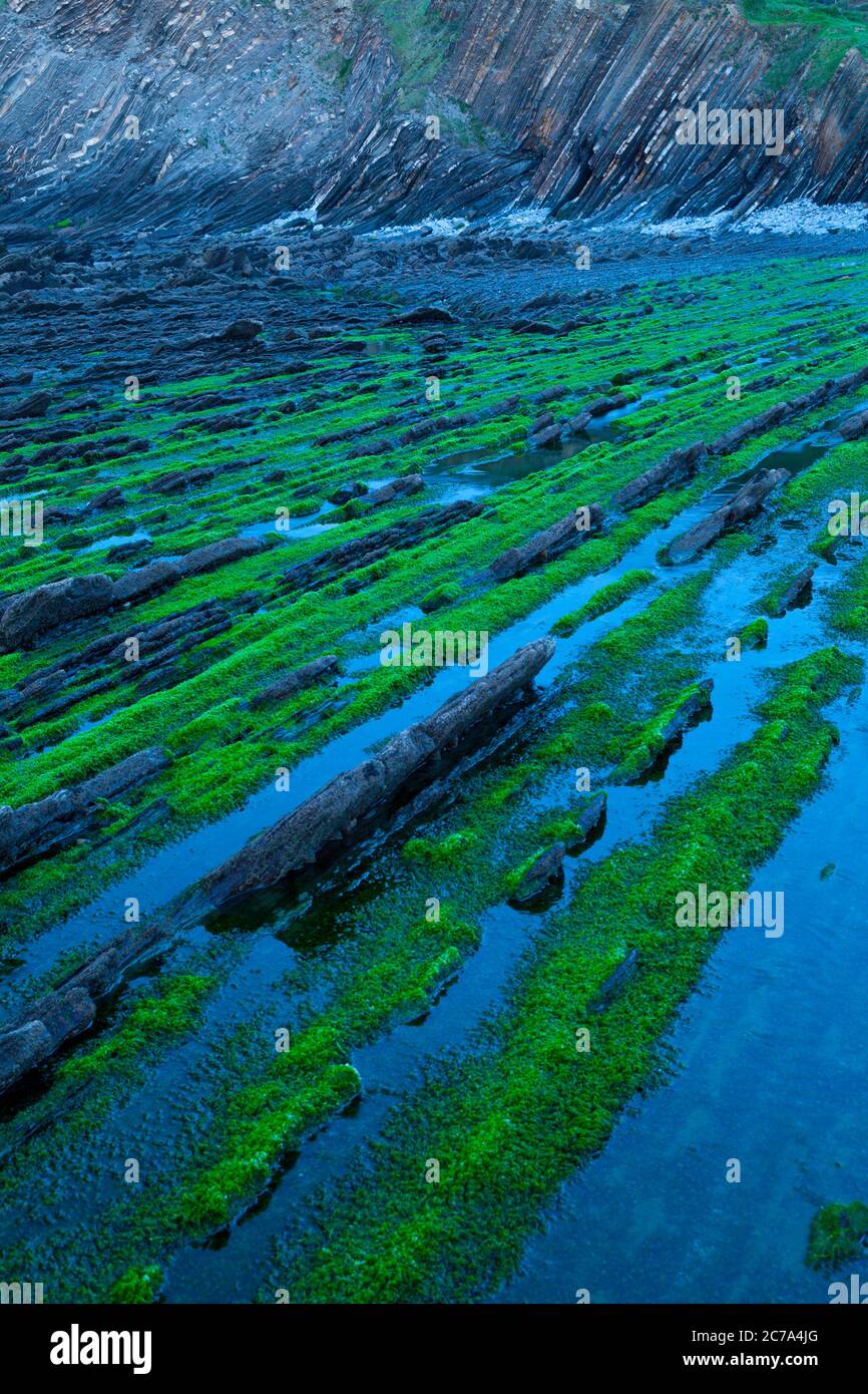 Flysch, Sakoneta Strand, Deva, Gipuzkoa, das Baskenland, die Bucht von Byscay, Spanien, Europa Stockfoto