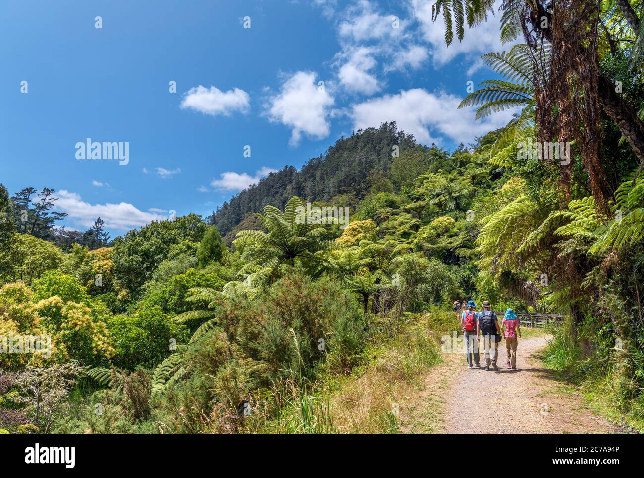 Wanderer auf einem Fußweg am Ohinemuri River, Karangahoke Gorge Historic Walkway, Karangahoke Gorge, North Island, Neuseeland Stockfoto