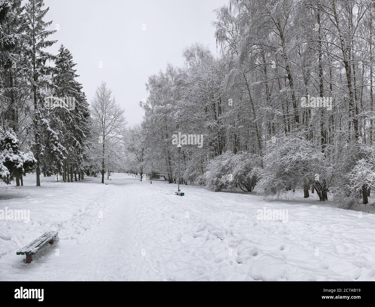 Schneebedeckte Bäume und Bänke im City Park. Viel Schnee Stockfoto