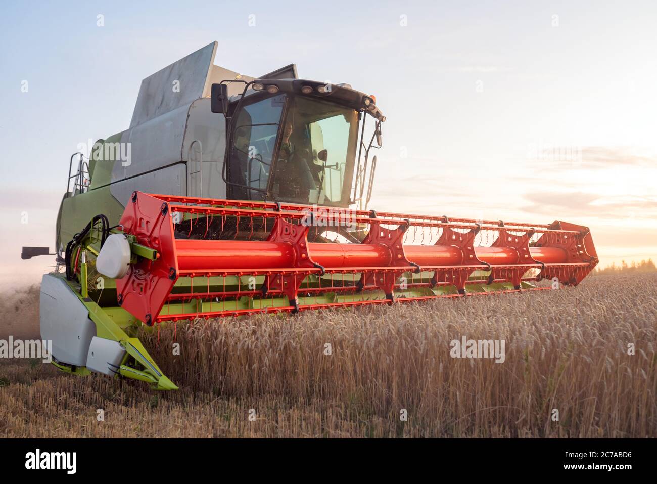 Kombinieren Sie Harvester erntet reifen Weizen. Reife Ohren von Gold Feld auf dem Sonnenuntergang bewölkt orange Himmel Hintergrund. . Landwirtschaftliches Image Stockfoto