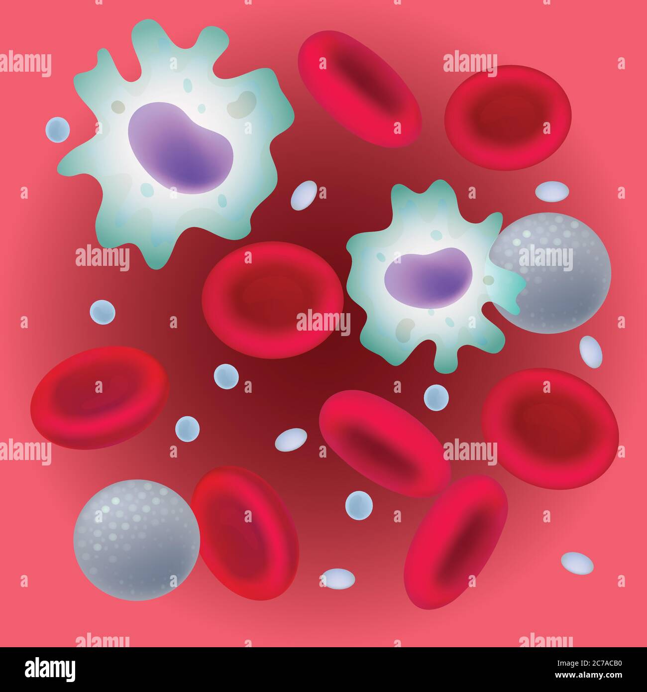 Plasma blutzellen kaufen Alamy