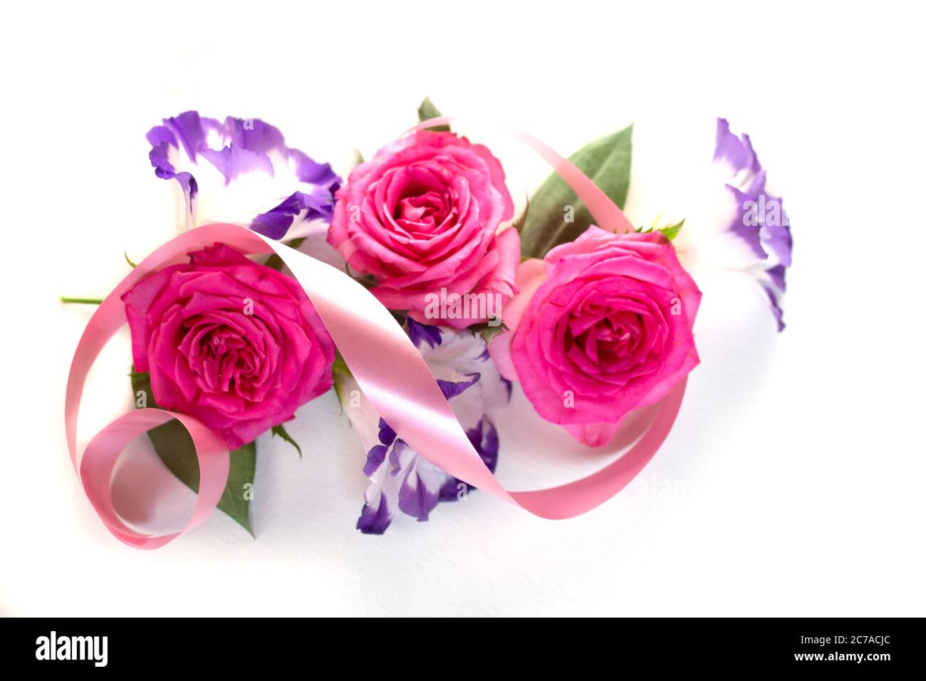 Schöne rosa Blüte im Garten. Rose Blume Hintergrund. Rosen Blume Textur. Schöne Rose. Rosen in den tropischen Garten. Bunte Rosen f Stockfoto