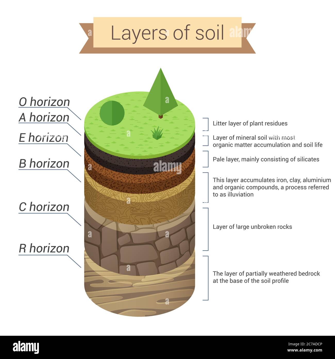 Bodenschichten. Boden ist eine Mischung aus Pflanzenrückständen und feinen mineralischen Partikeln, die Schichten bilden. Vektordiagramm Stock Vektor