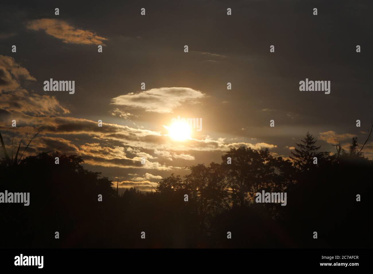 Die untergehende Sonne ist vom Stromovka Park, Prag, Tschechien gesehen Stockfoto