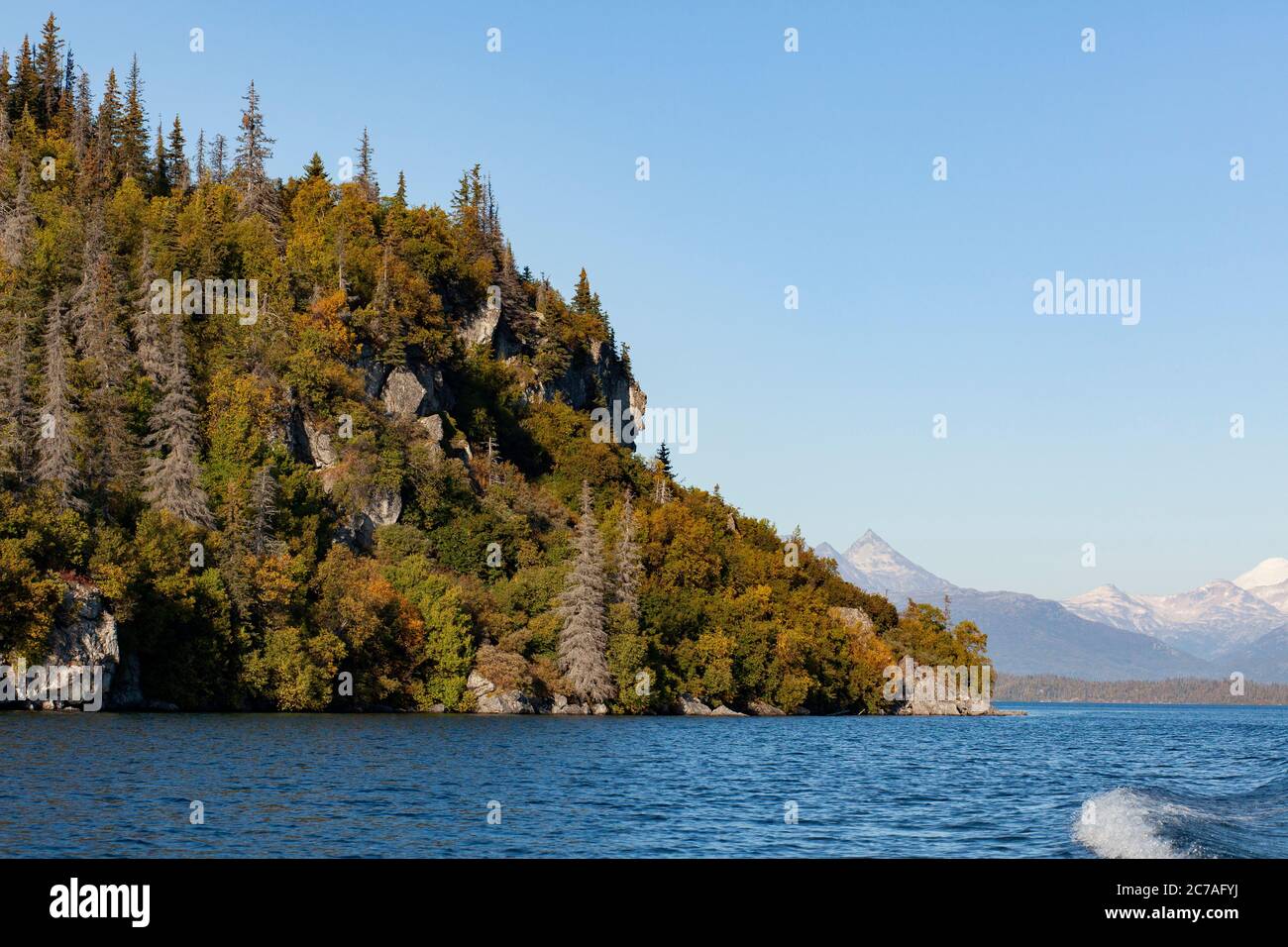 Zerklüftete, bewaldete Klippen mit Herbstlaub erheben sich über das ruhige Wasser eines Alaska-Sees, mit fernen Bergen, die die ruhige Wildnis vervollständigen Stockfoto