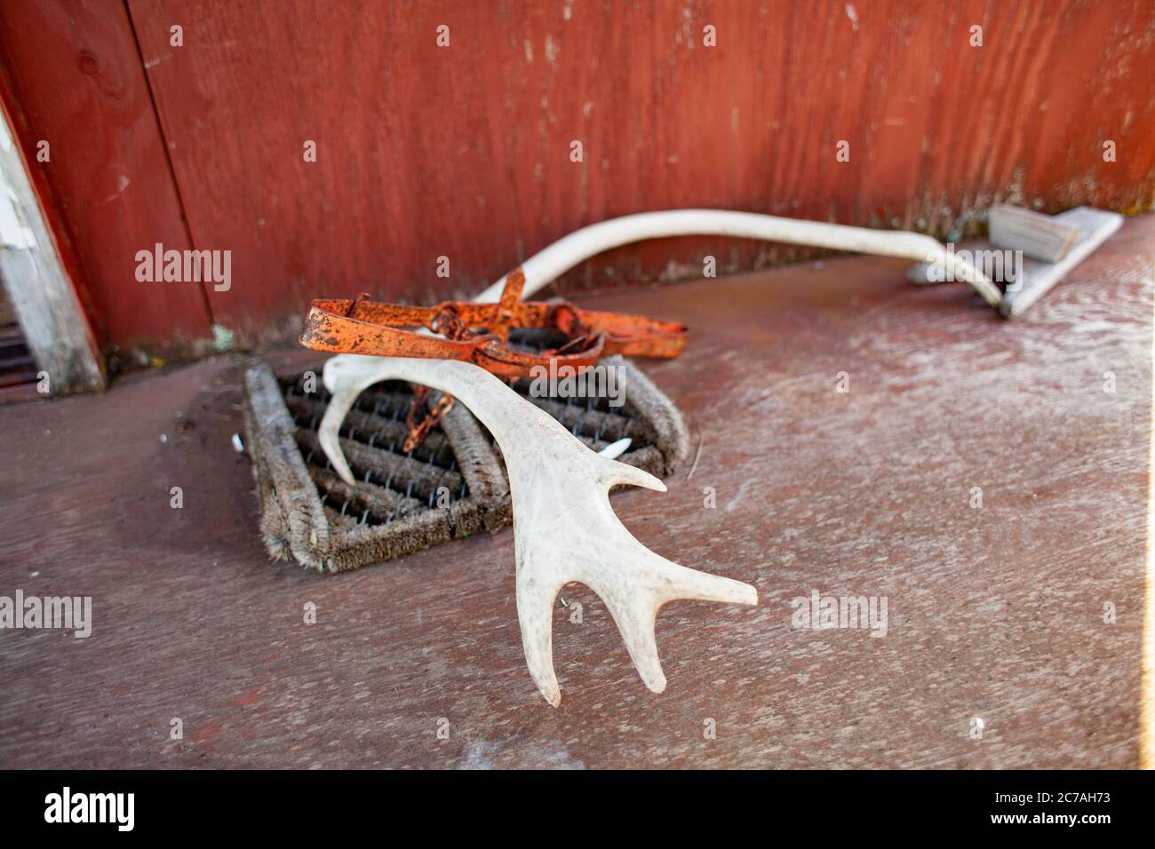 Ein verwittertes Elchgeweih liegt auf der Veranda einer rustikalen Hütte Alaskas und spiegelt den Lebensstil der Wildnis und den rauen Charme des ländlichen Lebens wider. Stockfoto