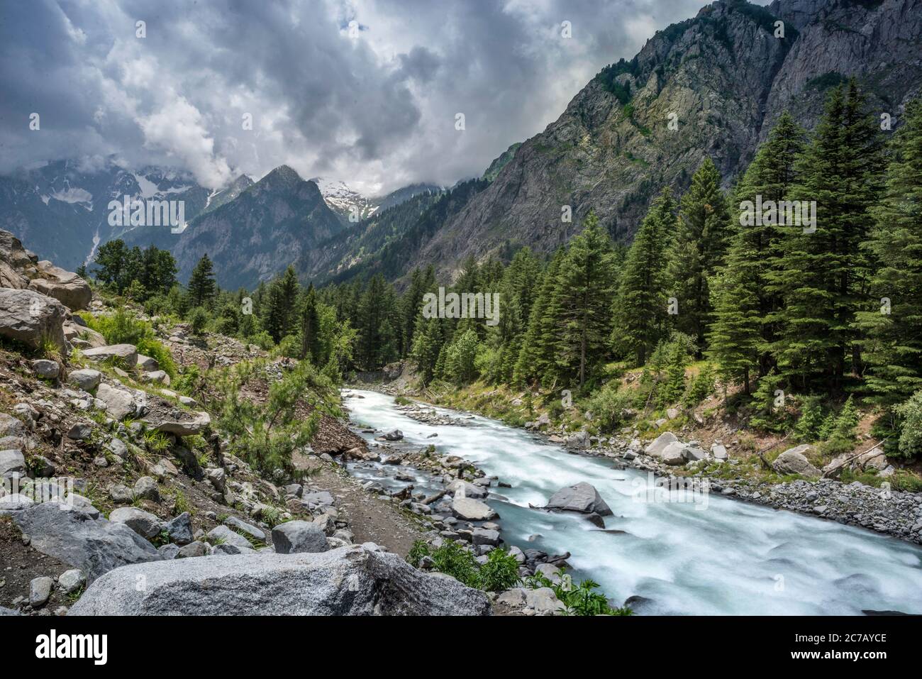 Schöne grüne Galerie mit frischer Wasserstraßlandschaft Stockfoto