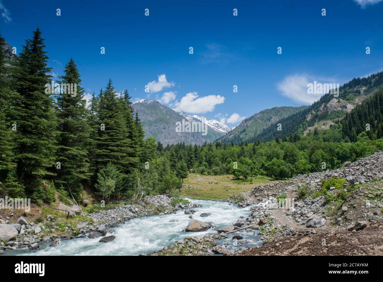 Schöne grüne Galerie mit frischer Wasserstraßlandschaft Stockfoto