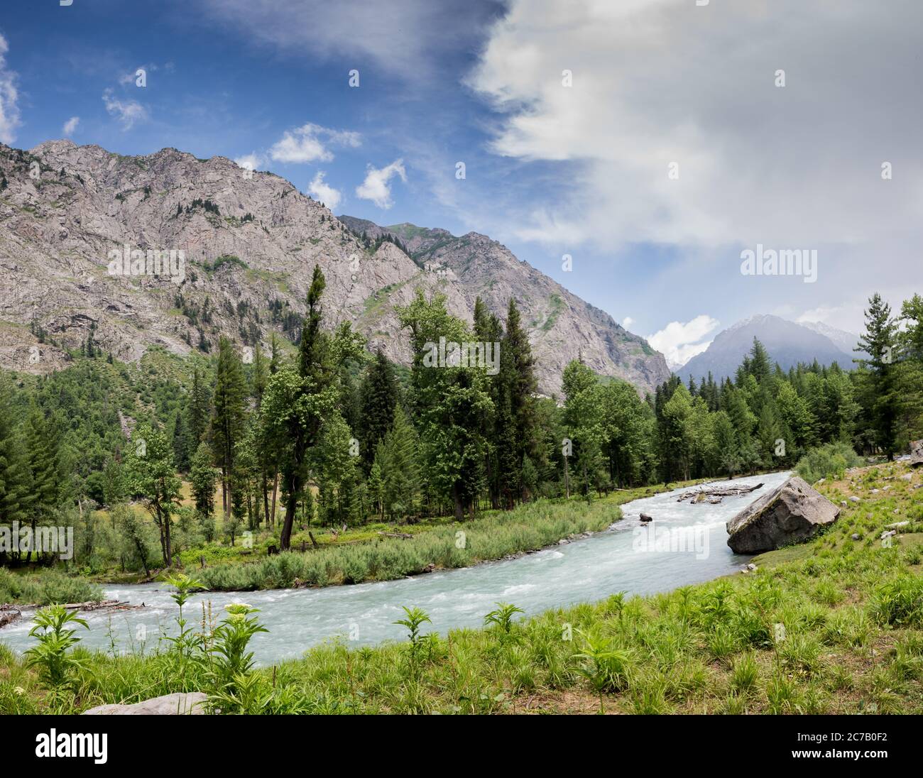 Schöne grüne Galerie mit frischer Wasserstraßlandschaft Stockfoto