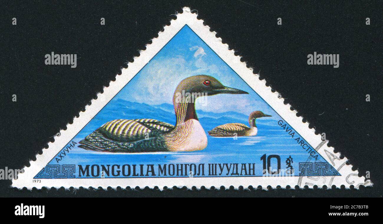 MONGOLEI - UM 1973: Stempel gedruckt von der Mongolei, zeigt Ente, um 1973. Stockfoto