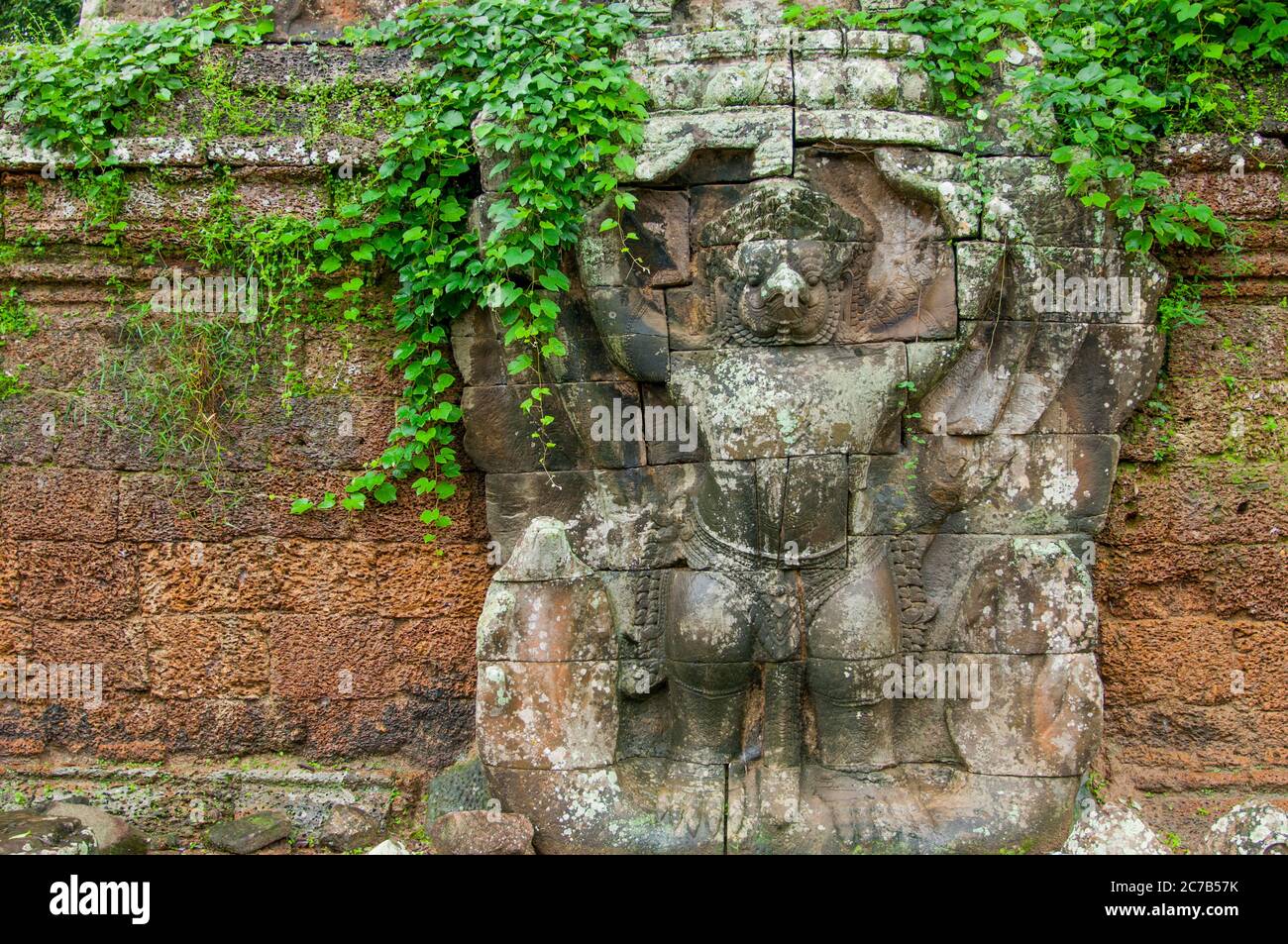 Eine Steinschnitzerei von Garuda, einem großen Fabelvogel, einer vogelähnlichen Kreatur oder einem humanoiden Vogel, der sowohl in der hinduistischen als auch in der buddhistischen Mythologie bei Preah Khan vorkommt Stockfoto