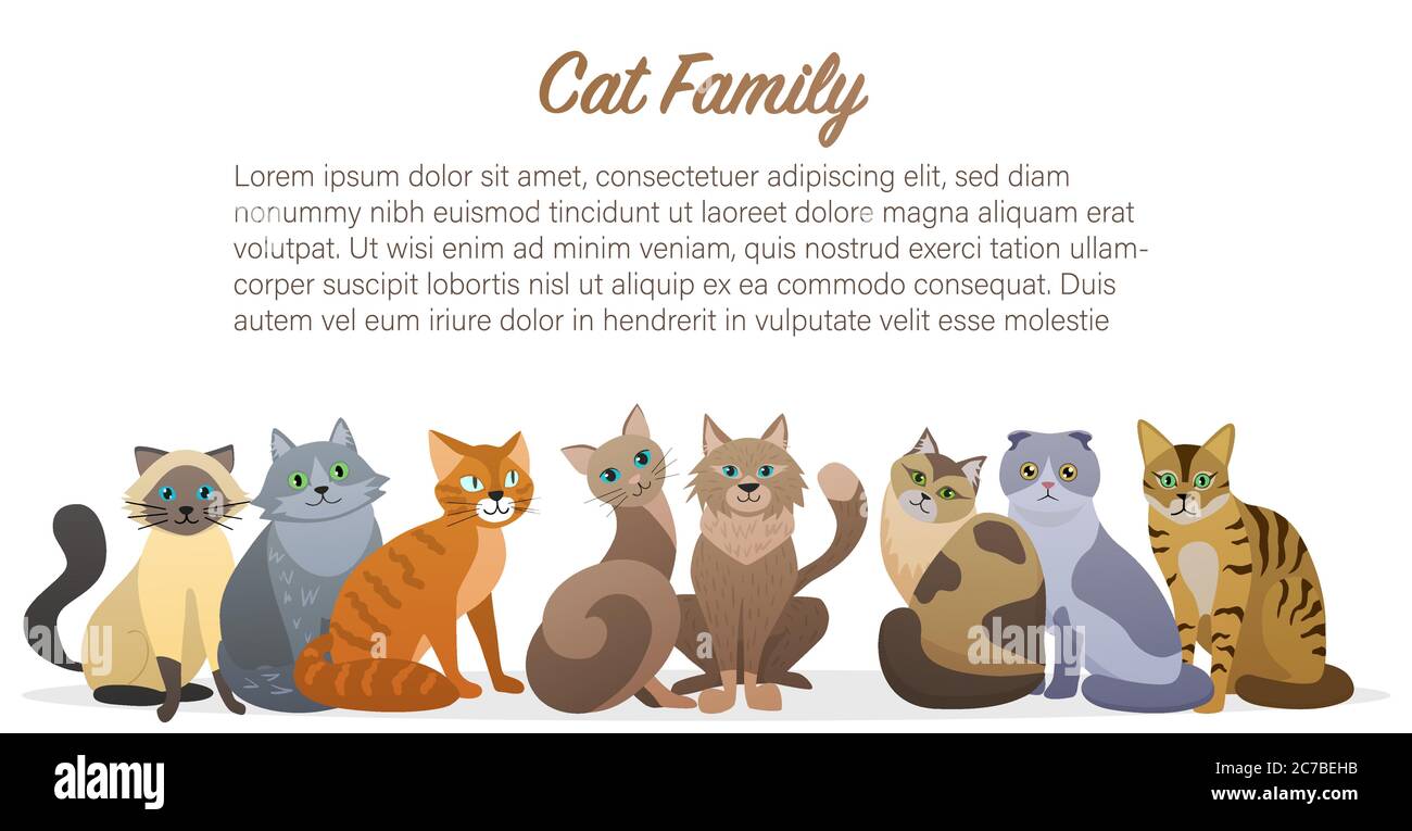 Nette Cartoon Katzen Familie staing zusammen Vorderansicht. Katze Haustier Freund Stock Vektor