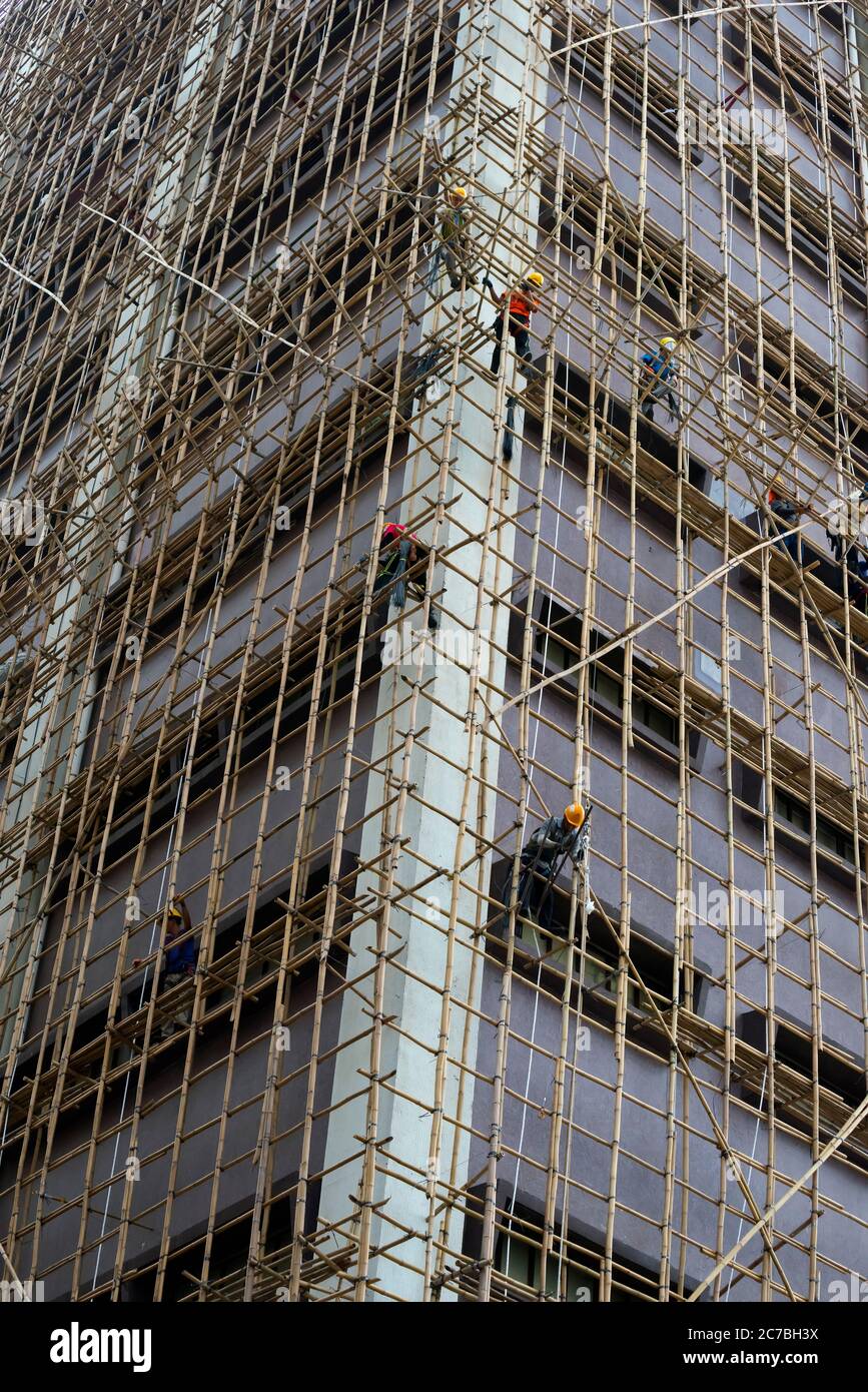 Bambus gerst china -Fotos und -Bildmaterial in hoher Auflsung  Alamy