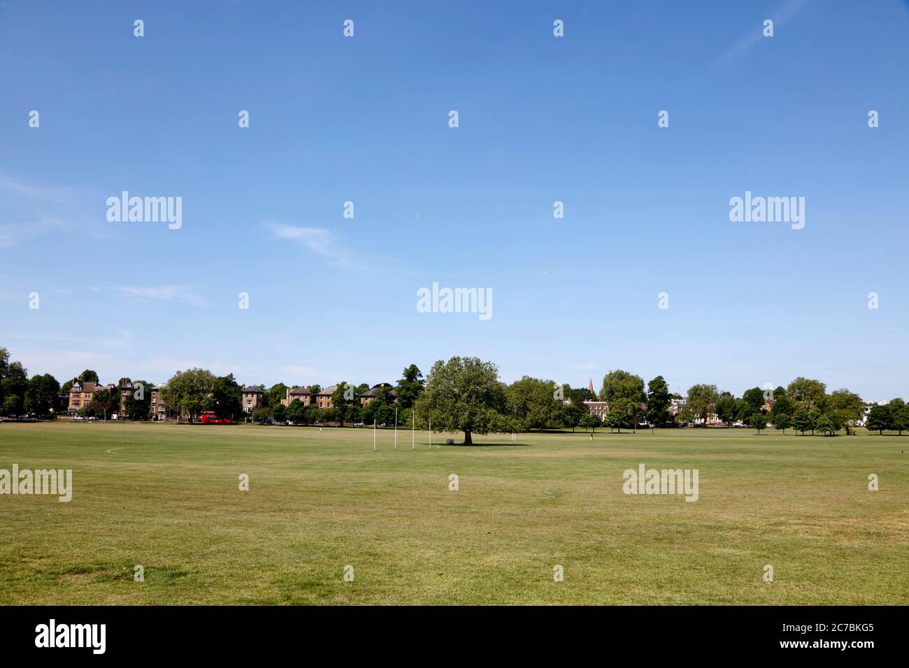 Peckham Rye Common, Peckham, London, Großbritannien Stockfoto