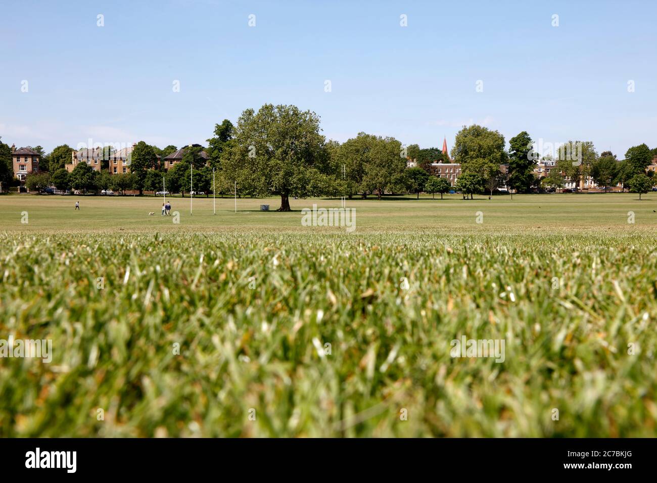 Peckham Rye Common, Peckham, London, Großbritannien Stockfoto