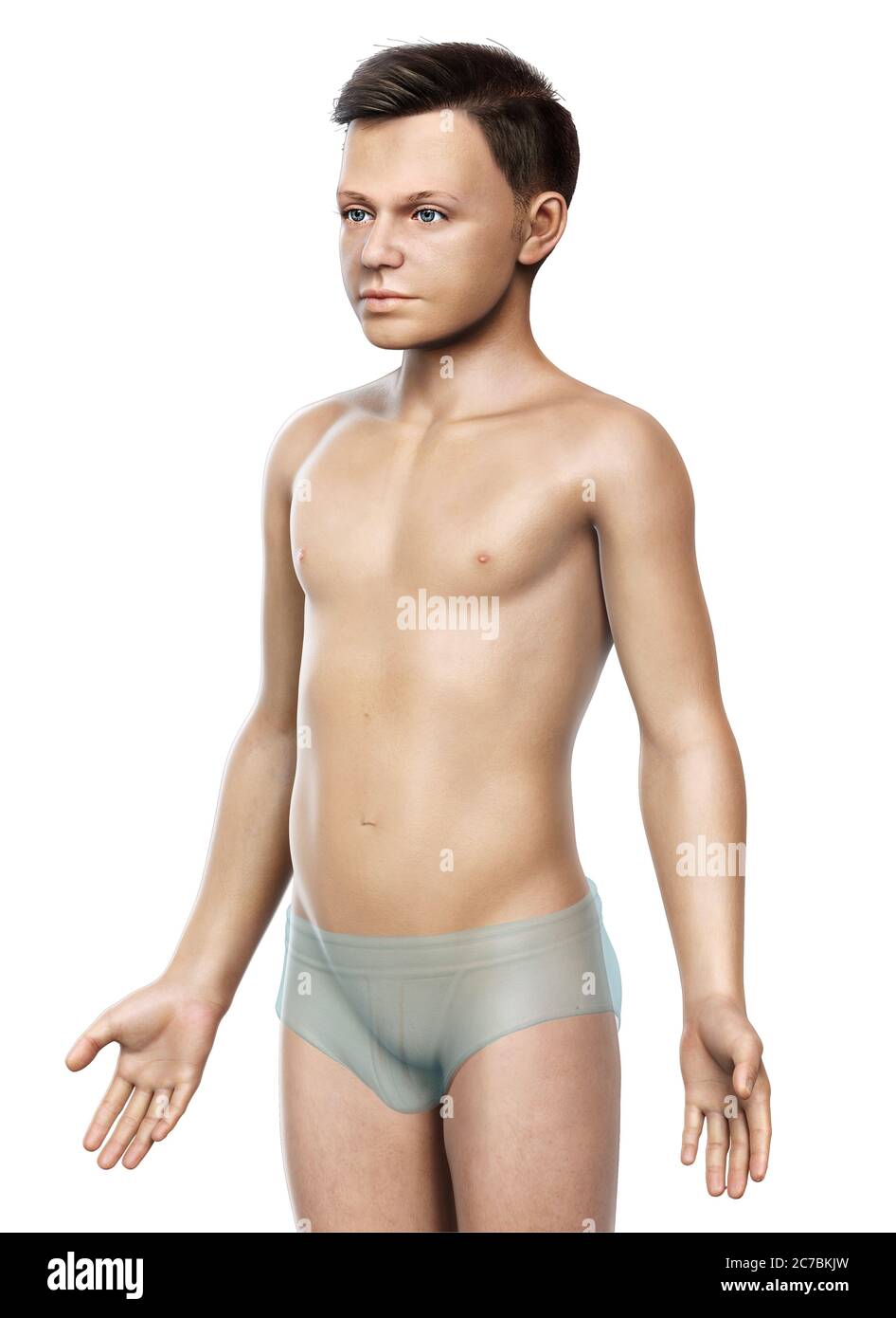 3d gerenderte Illustration des jungen Körpers Stockfoto