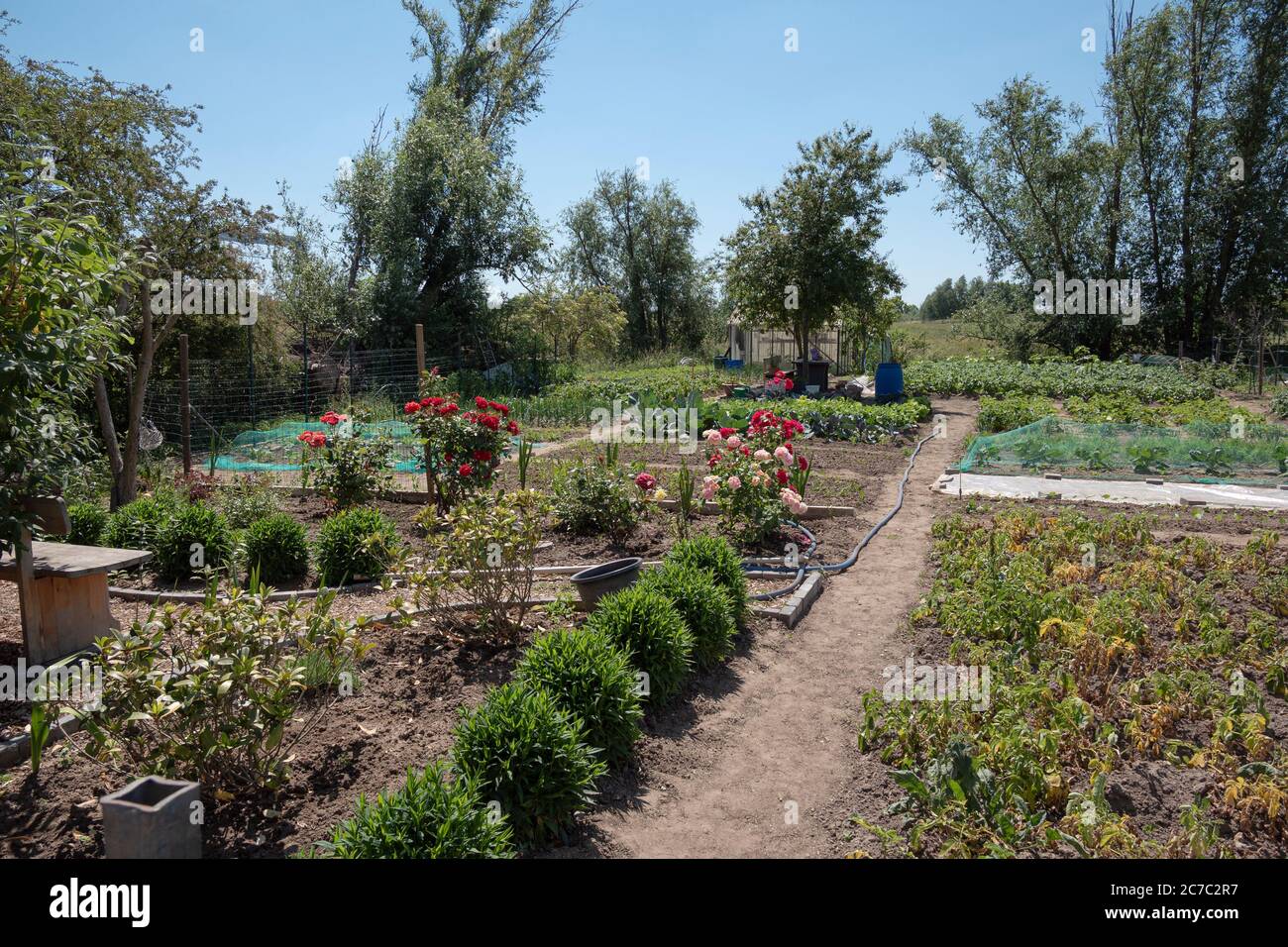 Typisch belgischer Schottgarten mit Blumen und Gemüse Stockfoto