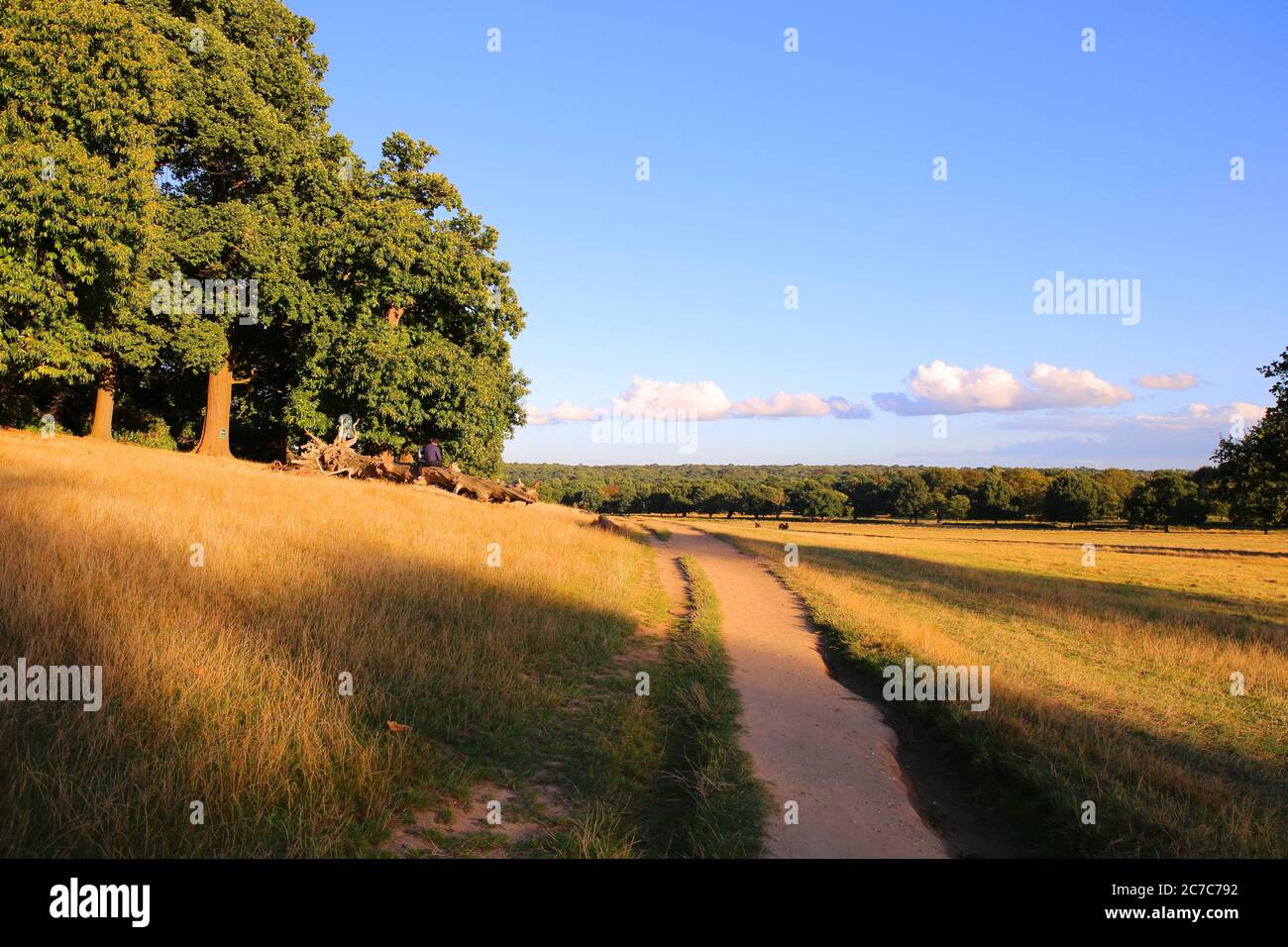 Richmond Park, London Stockfoto