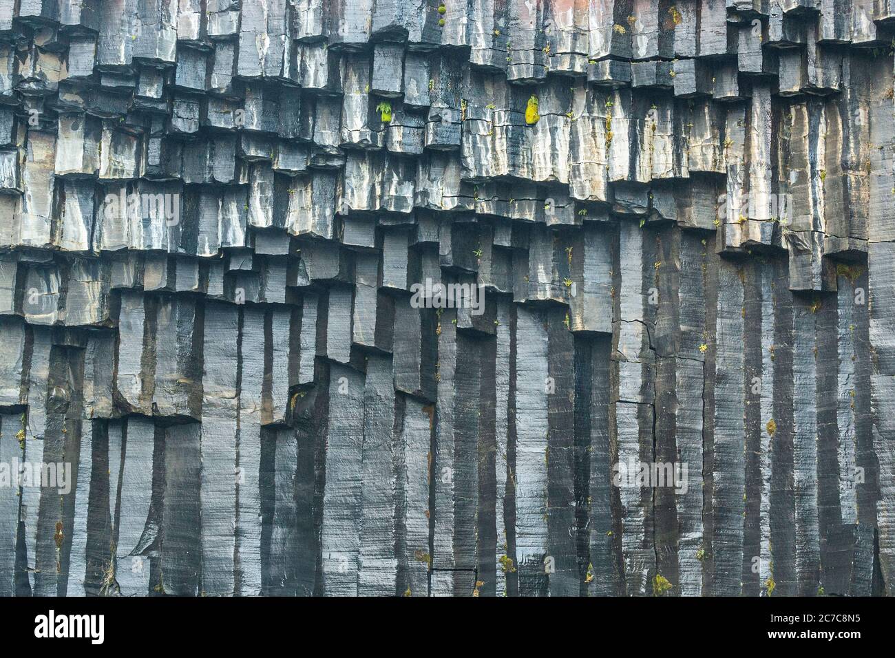 Basault-Säulen am Svartifoss Wasserfall in Island Stockfoto