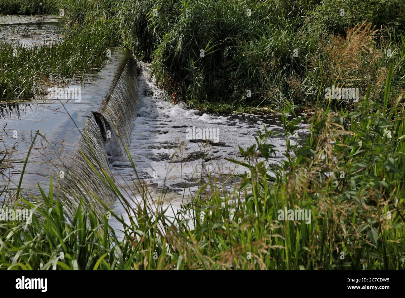 Nahaufnahme eines Flusses, der in einen Sumpf in einem fließt Grünes Feld Stockfoto